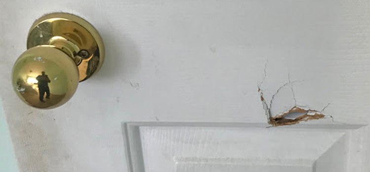 interior door hole repair Garnet